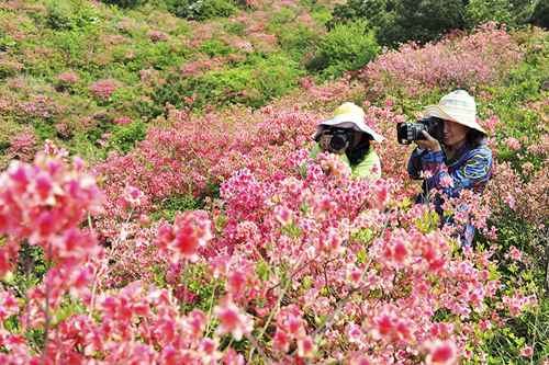 大美岳西风光无限好---安徽频道新闻中心