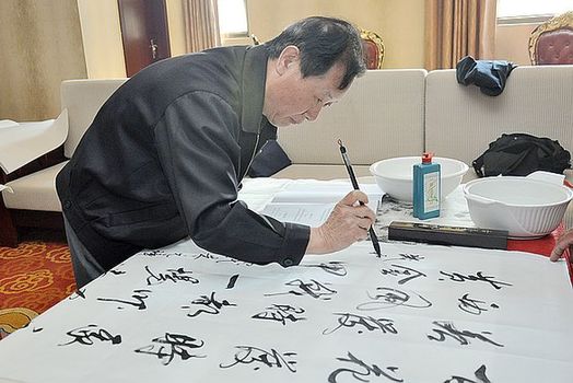 部长将军挥毫泼墨凤阳行---安徽频道新闻中心