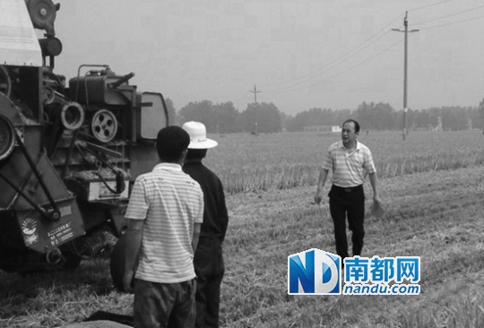 太和规定麦茬限高10厘米 称为禁止农户烧秸秆