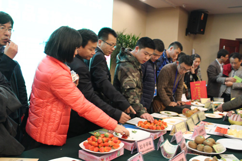 长丰草莓香溢杭州受市民青睐--第八届全国名优