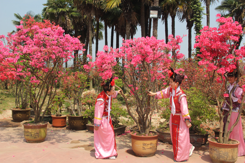 唱黄梅 游安庆文化惠民活动在岳西县揭幕---安