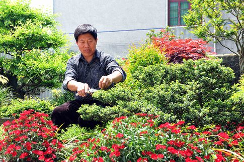 安徽庐江:农家客栈成为乡村靓丽风景线 (组图)