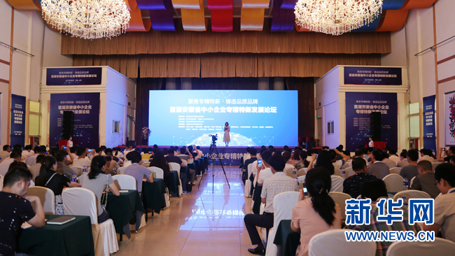 行业 大咖 聚首合肥 共谋 专精特新 发展之路