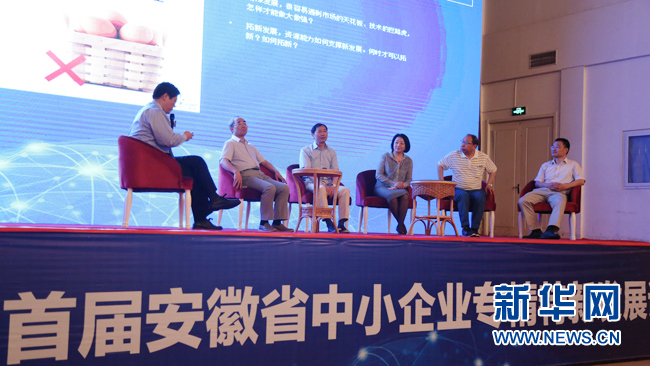 行业大咖聚首合肥 共谋专精特新发展之路