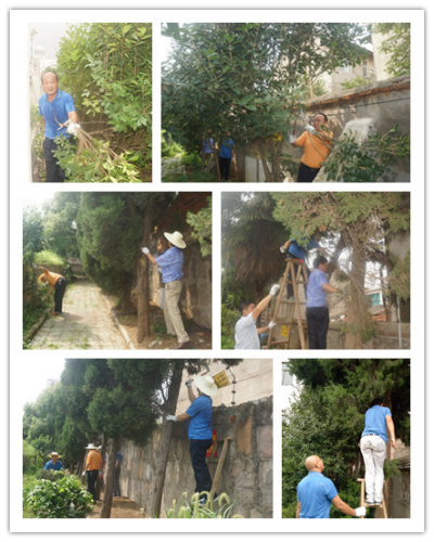 肥西自来水公司开展党员活动日活动