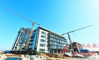 合肥少荃湖片区城市设计今年揭面纱