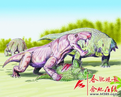 盾甲龙_盾甲龙进化