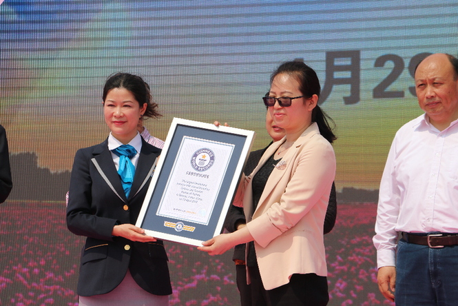亳州:最大芍药花田挑战吉尼斯世界纪录成功