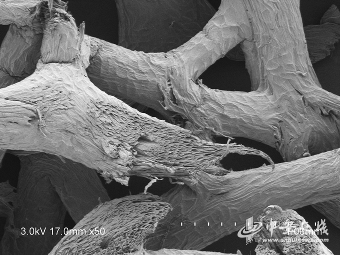 还在纠结困成狗?安农大师生发明助眠小神器