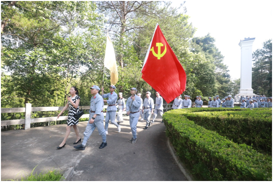 安徽绿地:发挥国企党组织政治核心作用