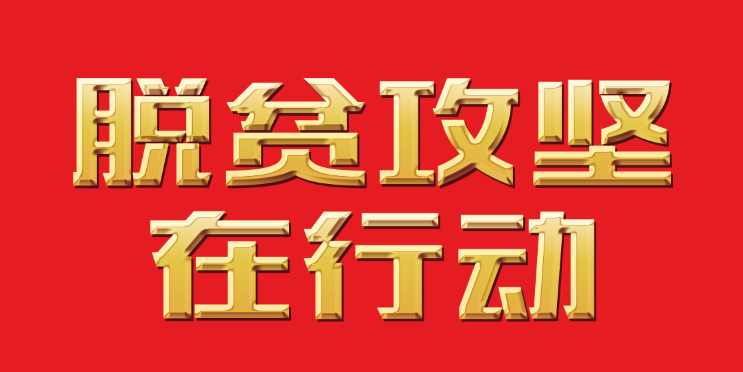 【脱贫攻坚在行动】让梦想扎根在田野上