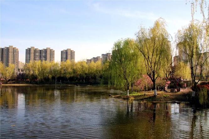 四月芳菲天,水韵泗县美得让人沉醉_风景520 当春风吹过泗县山山水水,美丽的泗县仿佛一位天使展现她的亮丽容颜,河水、湖水微漾,水如翡翠,清得逼你的眼,在春日阳光中跳动金波。 最美不过泗县四天,花似锦绣,柳如碧玉,风如芳醇!春用神奇画笔,把泗县描绘成一个美丽多彩世界。 泗县人幸福,男女老幼看春去,爱美的泗县人花中留倩影。春深似海,踏歌而行!烂漫的春天,浪漫的生活,和谐的社会,诗意的人生! 生活在泗县,最想在泗城绿道中休闲,泗城绿道已成为美丽风景线,泗城一环路、二环路、泗州大道、清水湾路、汴河大道,都有美丽的绿道,这