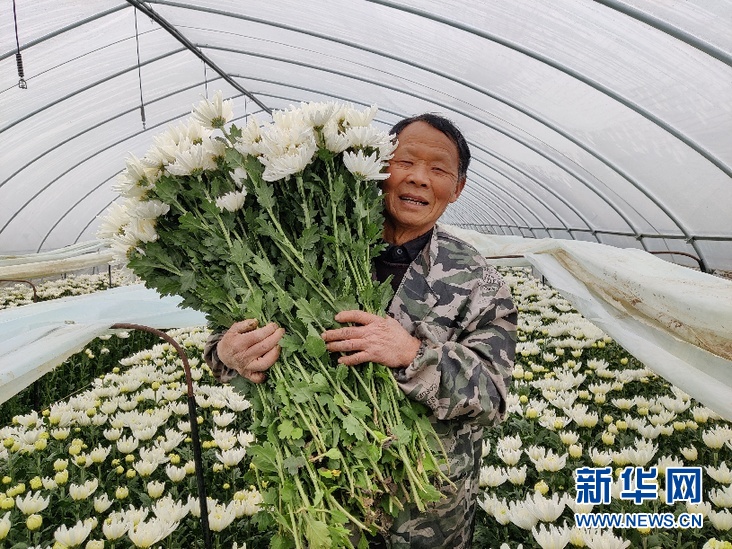 2020年怀远GDP_攻坚克难乘势而上——2020年怀远县经济社会发展综述