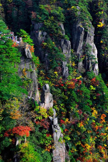 皖秋·觅景|安徽秋日最磅礴的美景尽在大山大江大湖