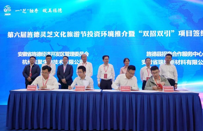 宣城旌德：强基增效推动工业高质量发展