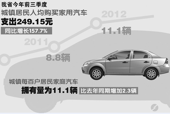 比速汽车_人均汽车拥有占比(2)