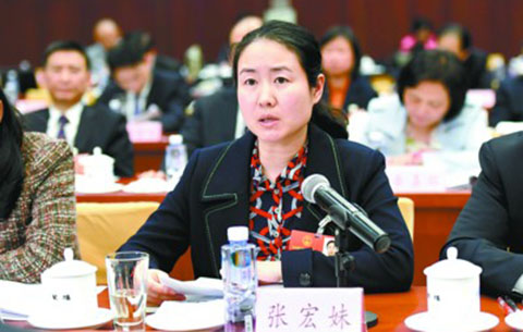 安徽代表委员全身心投入各项议程