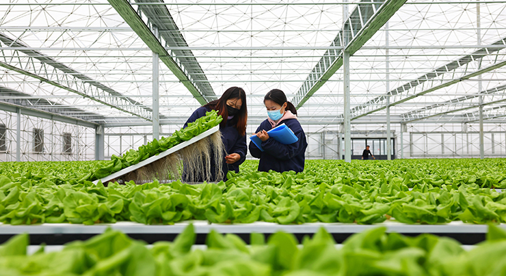 省智能工厂、数字化车间东阳+5！