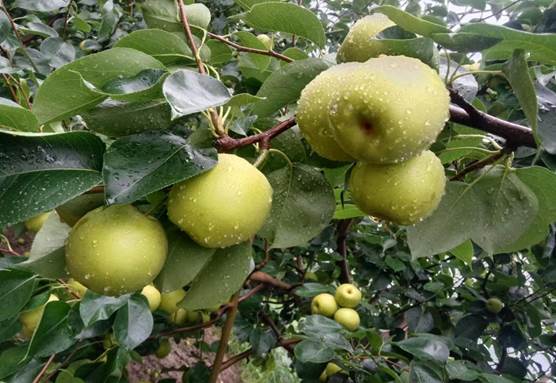 QQ图片20230727154522