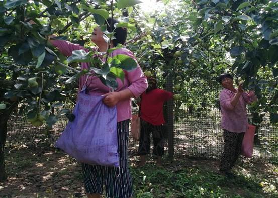 QQ图片20230727154504