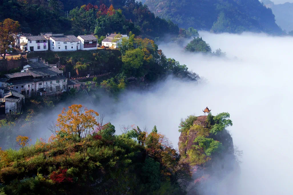 齐云山生.webp