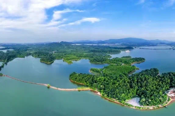 平天湖.webp