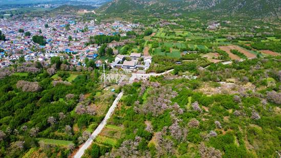 DJI_0624