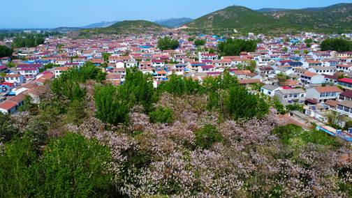 DJI_0653