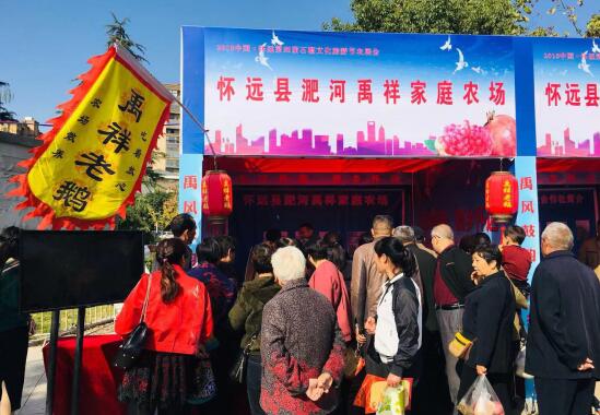 2018中国·怀远第四届石榴文化旅游节开幕