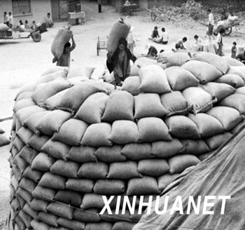 1987年大事_新中国成立60周年大事记之安徽篇