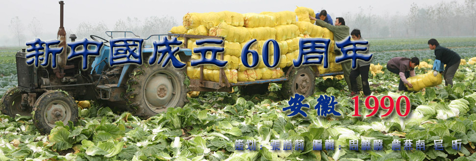 1990年大事_新中国成立60周年大事记之安徽篇
