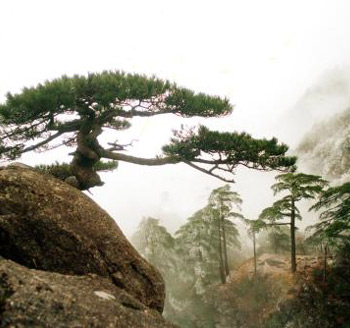 1991年大事_新中国成立60周年大事记之安徽篇