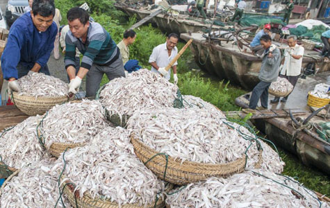  轻信定位 能找回被盗 手机  反 被骗 去数百元-新华