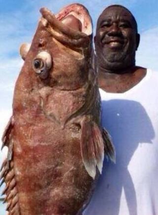 周杰伦公开与昆凌恋情传将在演唱会上求婚