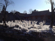 北京大學現“冰林”景觀