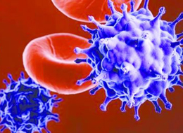 網傳食物傳染艾滋病毒?