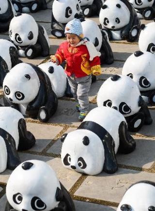 1600只“熊猫”合肥街头集体卖萌