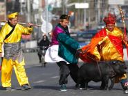 “唐僧師徒”進京遭圍觀