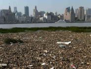 上海黃浦江灘涂現“垃圾帶”