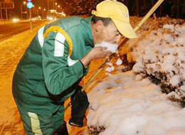 "城市美容师" 口渴吃雪