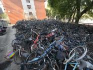 湖南一高校內現“自行車墳場”