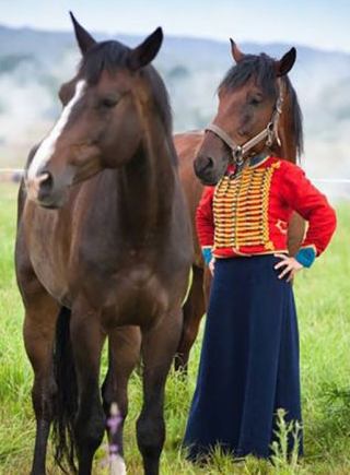 之家》剧情白热化 浙江卫视开启春季恋歌三部曲