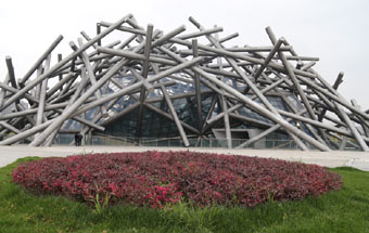 合肥版“鳥巢”閒置3年多仍未開放