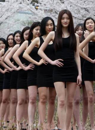 韩国模特专业女生樱花下走秀