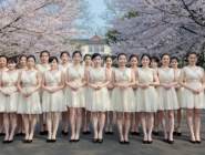 南林大禮儀隊拍養眼“櫻花大片”