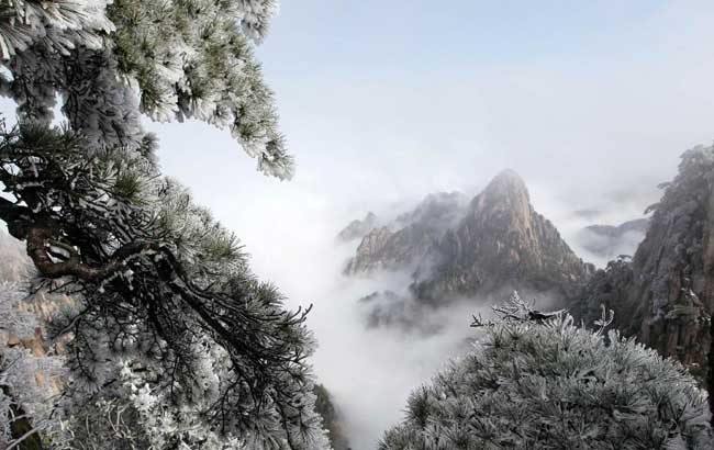 繽紛四月天 春雪落黃山
