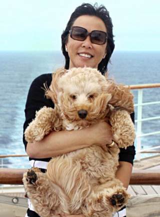 寵物狗跟隨主人遊歷11國23個城市 有專門護照