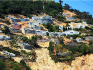 沿海盛行“活人墓” 青山被佔