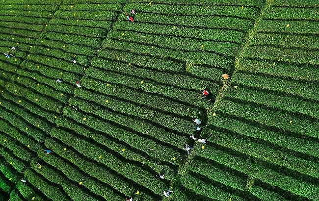 公益明星朋友圈卖假名牌鞋:成本几十售价两百