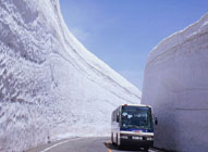 日本“雪墙公路”对外开放